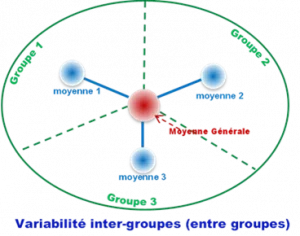 Shéma de la variance Inter-groupe (entre groupe) Analyse de variance ANOVA