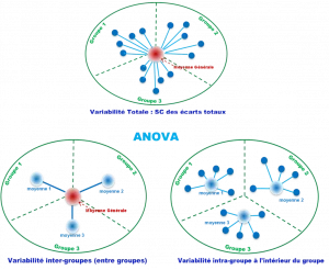 Variance inter-groupe et variance résiduelle pour une Analyse de variance ANOVA