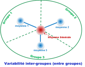 Shéma de la variance Inter-groupe (entre groupe) Analyse de variance ANOVA