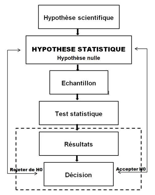 Hypothèse statistique pour les Tests hypothèses